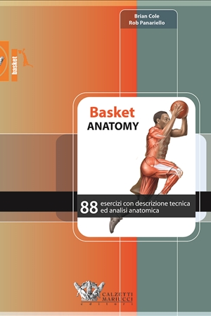 Basket Anatomy